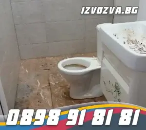 Премахване на косми и следи от котки във вашия дом