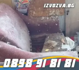 Направете вашия таван безопасно място след умрели кучета