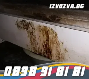 Изчистете фекални следи за по-здравословен дом