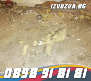 Изнасяне на отпадъци от тавани професионално